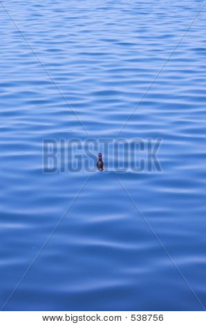 Message In A Bottle
