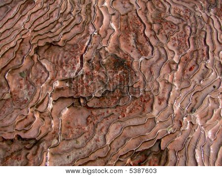 Redtravertine