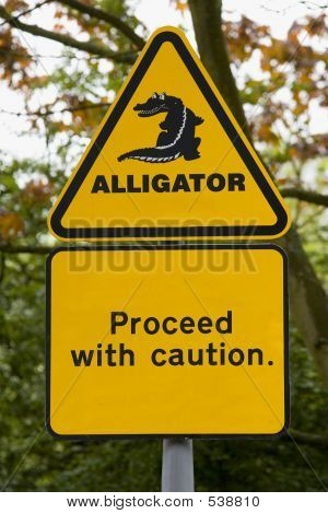 Aligator!