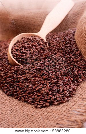 The Heap Of Flax On The Burlap