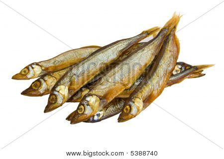 Fisch, Bloater