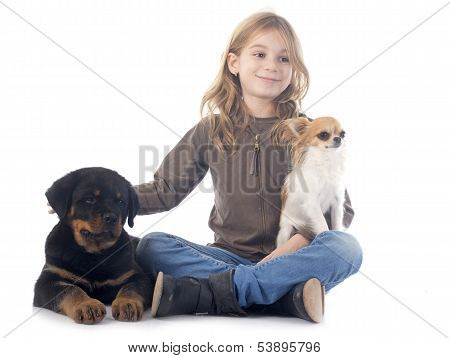 Child And Dogs
