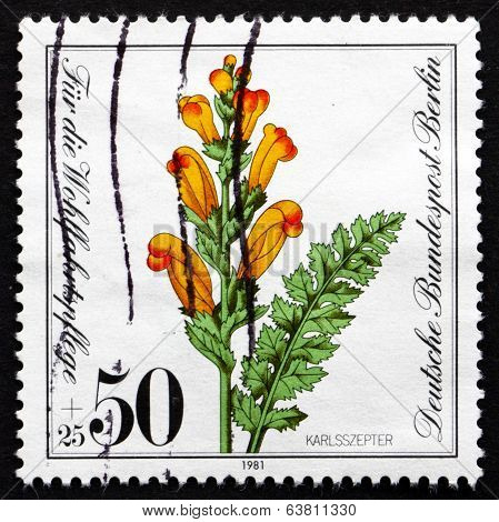 Postage Stamp Germany 1981 Moor-king Lousewort, Plant