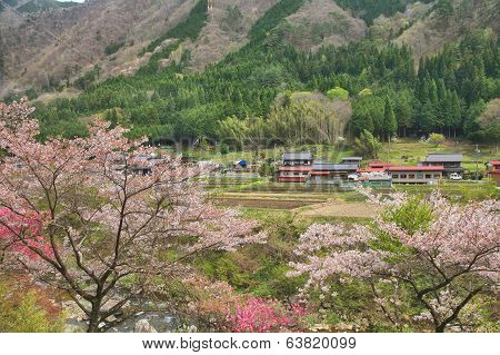 Japan Countryside