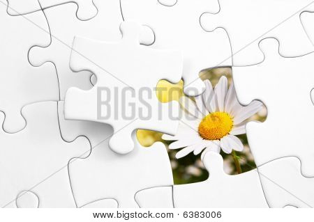 Puzzle et fleur