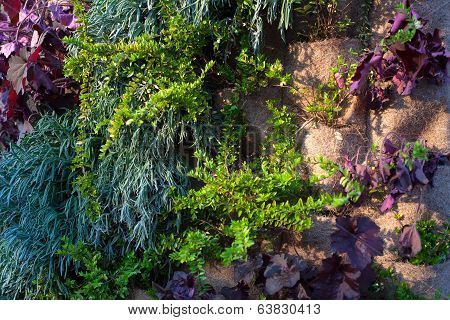 Vertical Garden