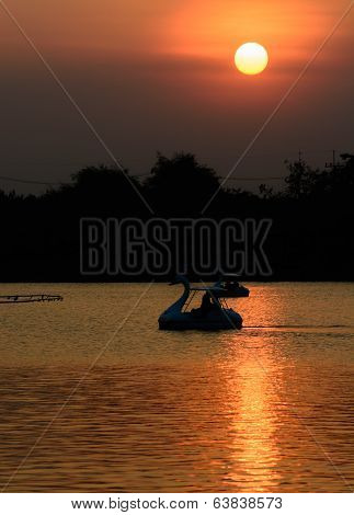 Swan Pedal Boat
