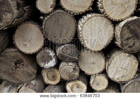 Pile Of Fire Wood