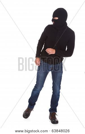 Portrait Of A Burglar