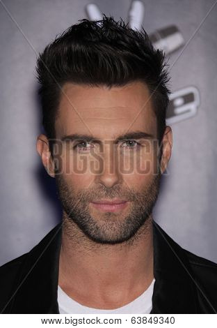 LOS ANGELES - OCT 28:  ADAM LEVINE arrives to the 
