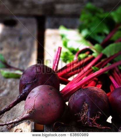 Fresh, Organic Beet Root