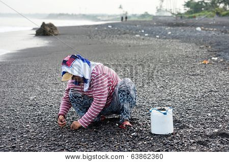 BALI - APRIL 11, 2014: A woman collects smoothen pebbles at the beach in Bali, Indonesia. Stones rounded by the sand and the sea has industrial value for use in construction and aquarium decorations.