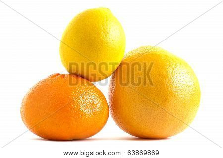 Citrus Fruits