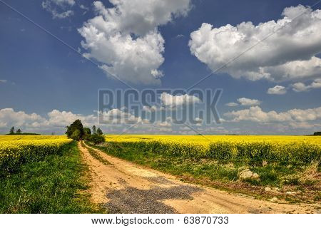 Country Road