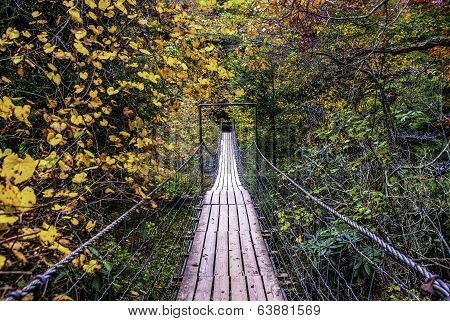 Swinging Bridge in Fall