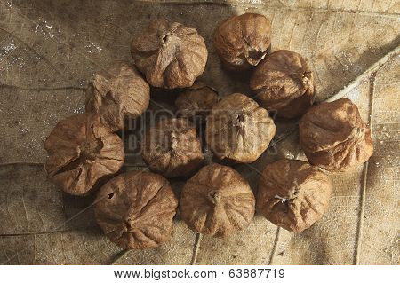 Teak seeds over Teak leaf