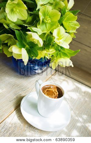Helleborus Flowers In A Vase