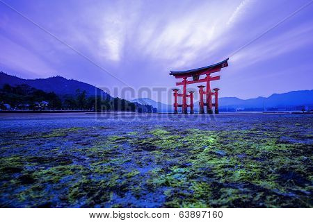 Tori in Hiroshima Japan