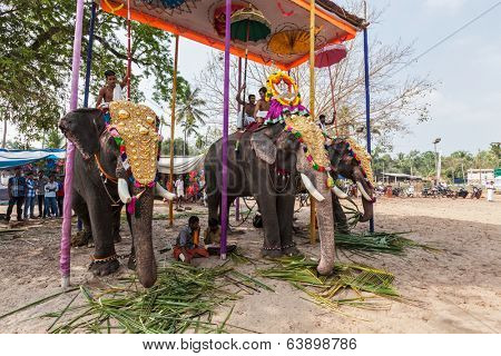 KOCHI, INDIA - FEBRUARY 24, 2013: Decorated elephants with brahmins (priests) in Hindu temple at temple festival. There about 550 domesticated elephants in Kerala state.
