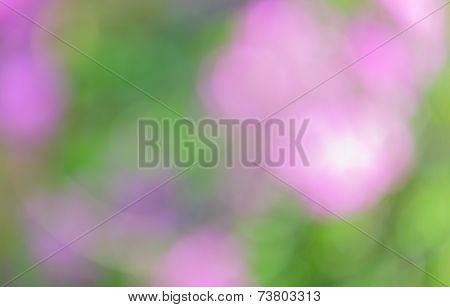 Background With Colorful Bokeh