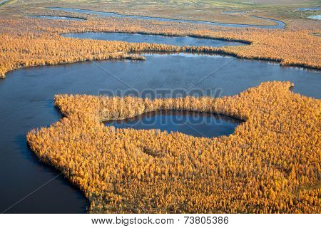 Top View Of The Lakes In The Autumn Forest
