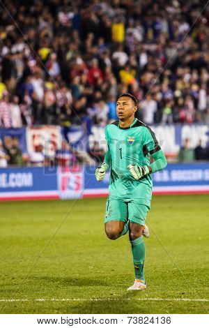 HARTFORD - OCTOBER 10: Maximo Banguera #1 after ecuadorian goal on US  Friendly match between US Men`s National Team vs Ecuador,  on October 10, 2014, in Rentschler Field stadium, Hartford, USA. 