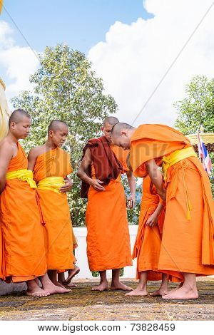 Monks Clad To Novices.