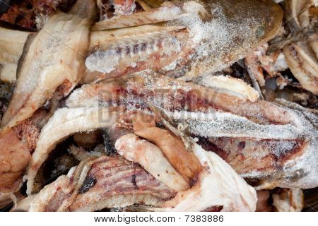 Gelée de déchets de poisson