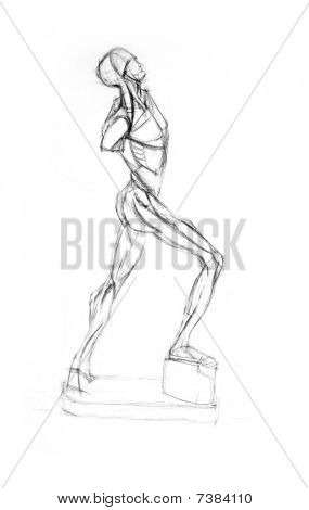 Анатомия Muscles.Drawing студия произведения