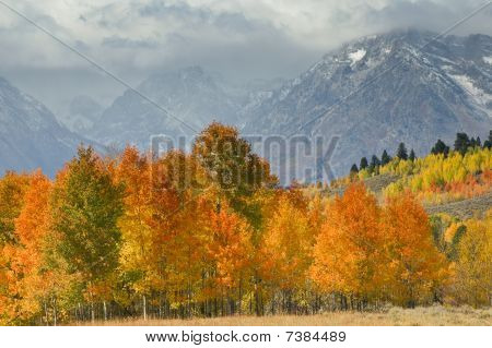 Grand Tetons Outono
