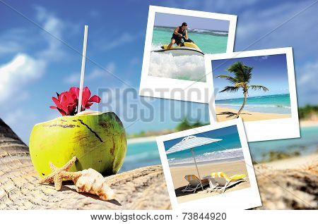 Coconuts Cocktail, Starfish And Pics