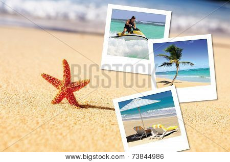 Sea Starfish And Pics