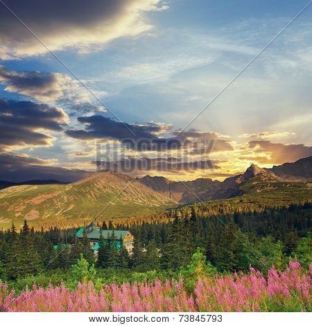 Tatra Mountains, Vintage Look