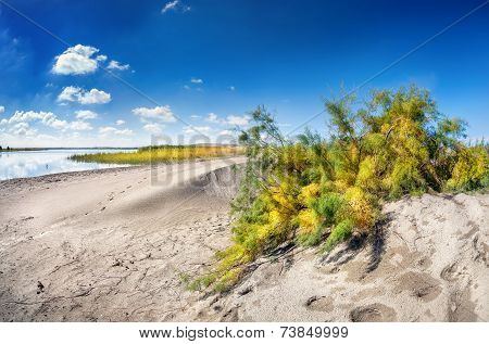 Dune Near The Lake