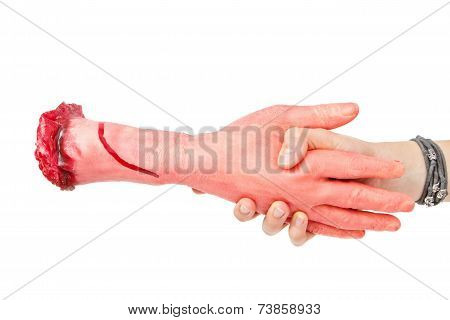 the hand