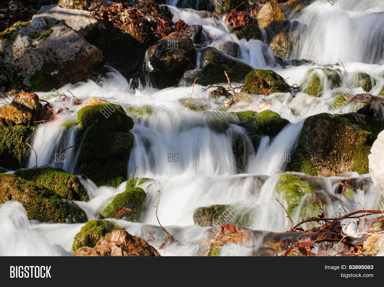 Image Preview