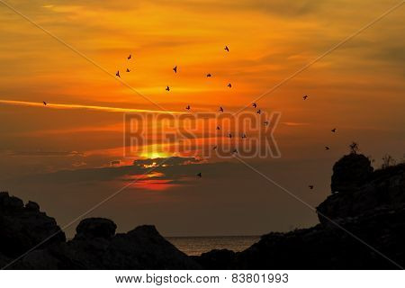 Sunrise At Sea