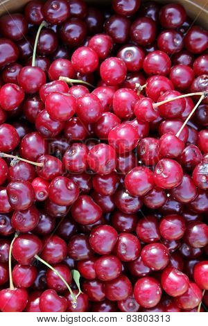 Fresh cherries