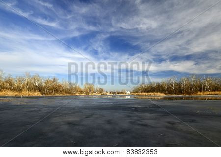 Spring landscape