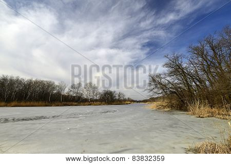 Spring landscape