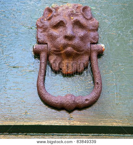 Abstract   Brass Brown Knocker    Closed Wood Door Olgiate Olona Varese Italy