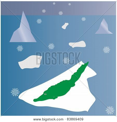 True north - funny vector with crocodile