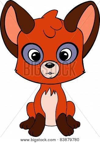 little fox