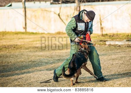 German Shepherd Dog training