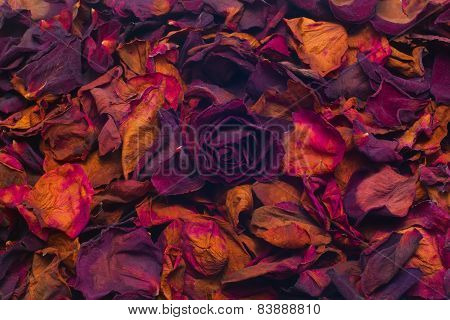 Dried Rose Petals
