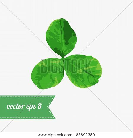 Clover Vector