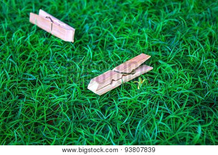 Clothespin on a background of green grass view from the top.