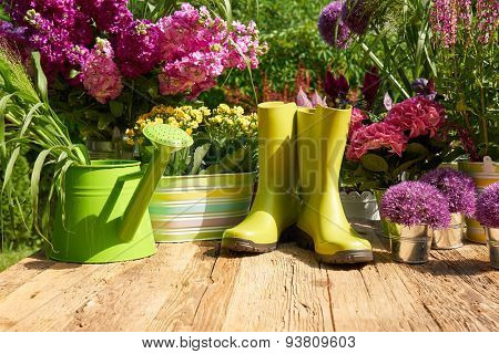 Gardening tools and flowers  on the terrace in the garden