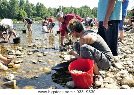 Gold Prospectors Of All Ages On The Banks Of The Gardon River