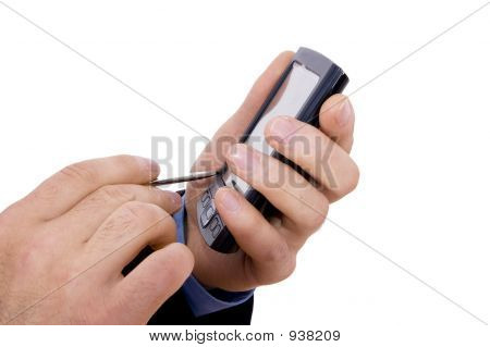 Palm